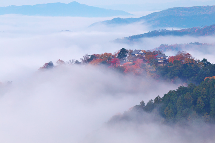 【JR岡山駅発着】天空の山城「備中松山城」と吹屋ふるさと村をめぐる日帰りコース